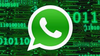 WhatsApp Business – новые возможности для бизнеса